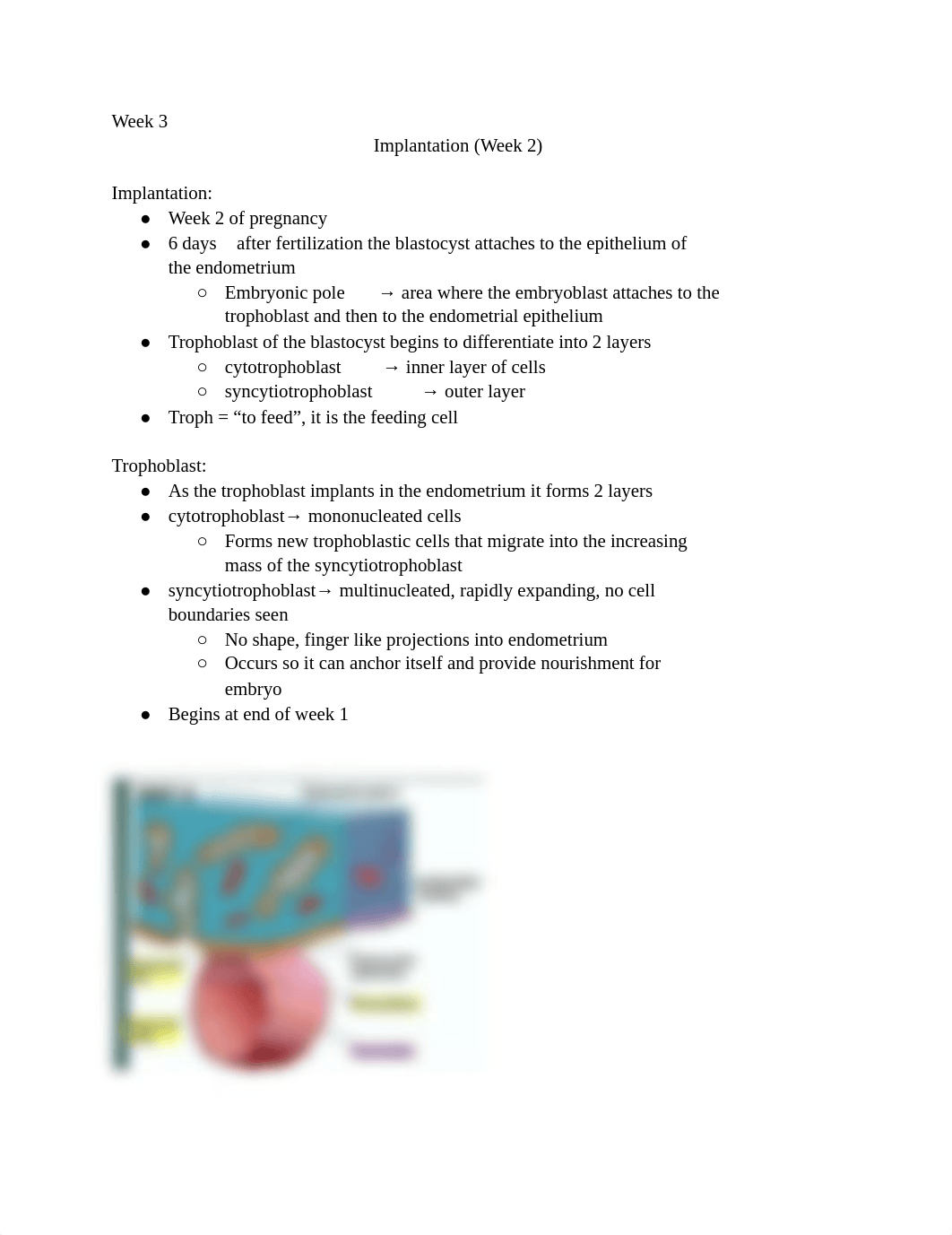 Week 3 Embryology .pdf_dum4i7gmb6f_page1