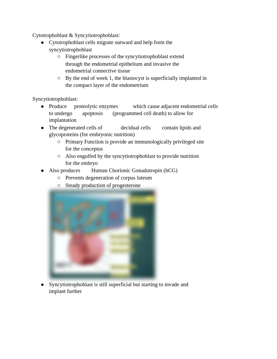 Week 3 Embryology .pdf_dum4i7gmb6f_page2