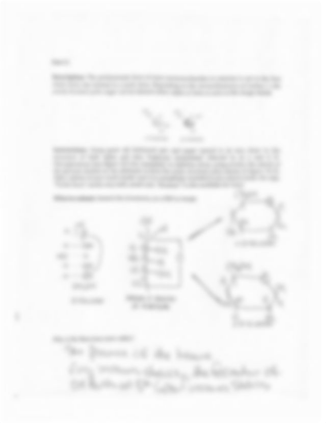 Basic Concepts Worksheet 3.1 (1).pdf_dumidu1fcin_page2