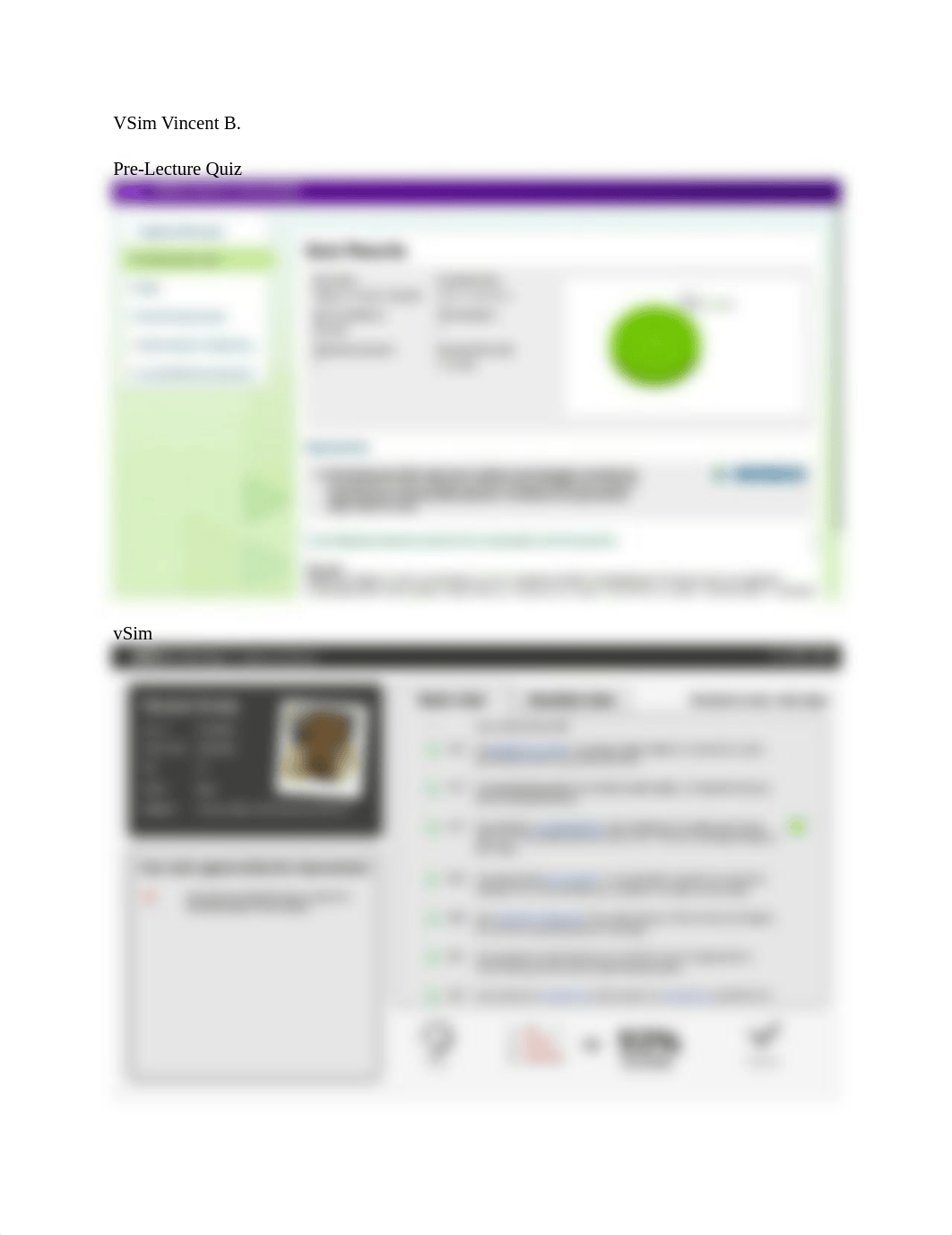 VSim Vincent B.docx_dumnaarer20_page1