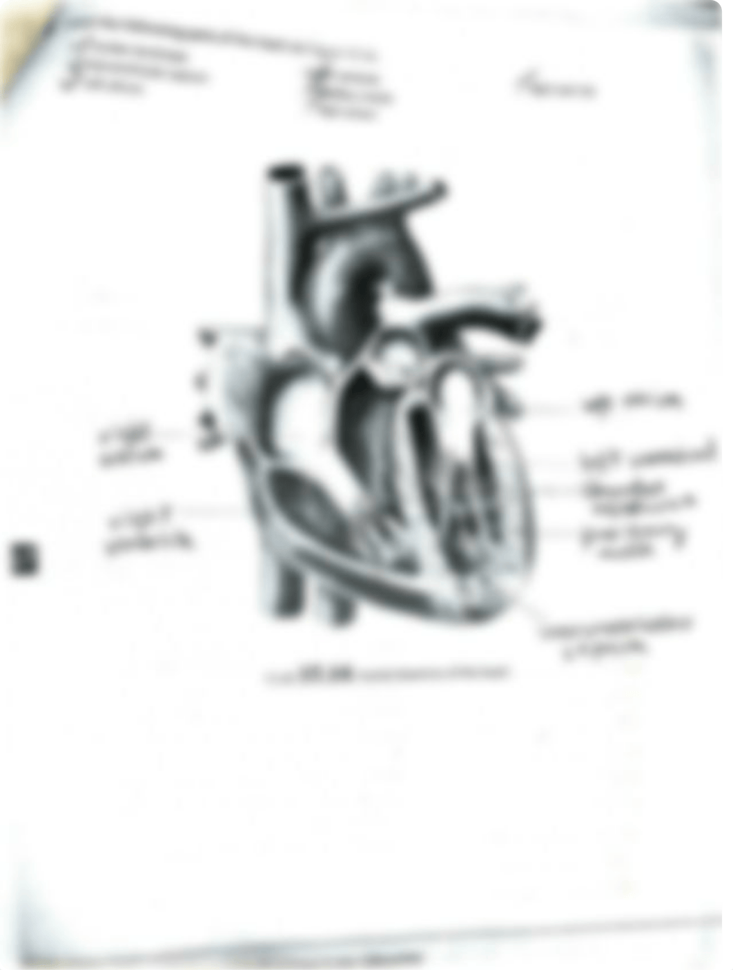 check your recall Unit 17.pdf_dumulmpx5no_page2