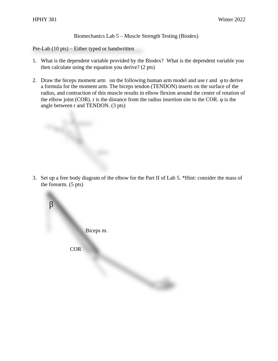 Lab 5 Biodex (2022) (3).pdf_dumwjfr5n5j_page1