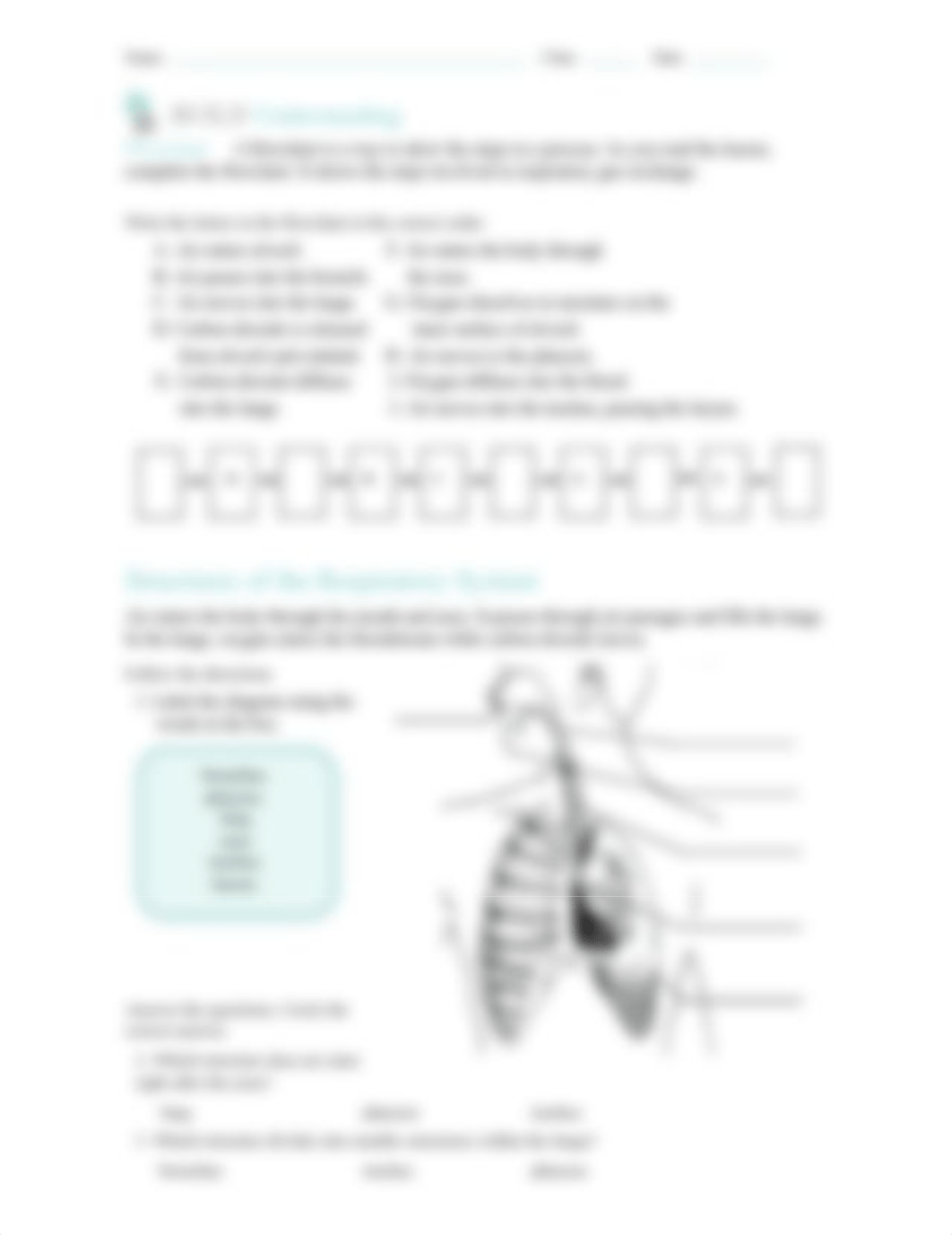 17. 33.3 Respiratory System_D0797757_BIO_C33_L03_Lesson_Review_Workbook_B.doc_dun25tkjxq7_page2