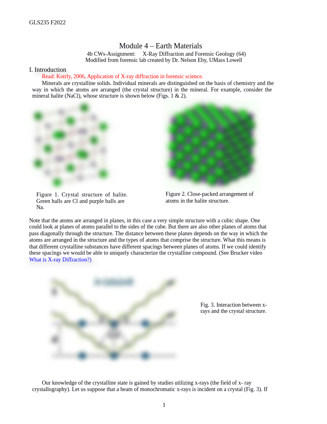 Matt Avelar 4b CWS X-Ray.docx_dung7nxz3ch_page1