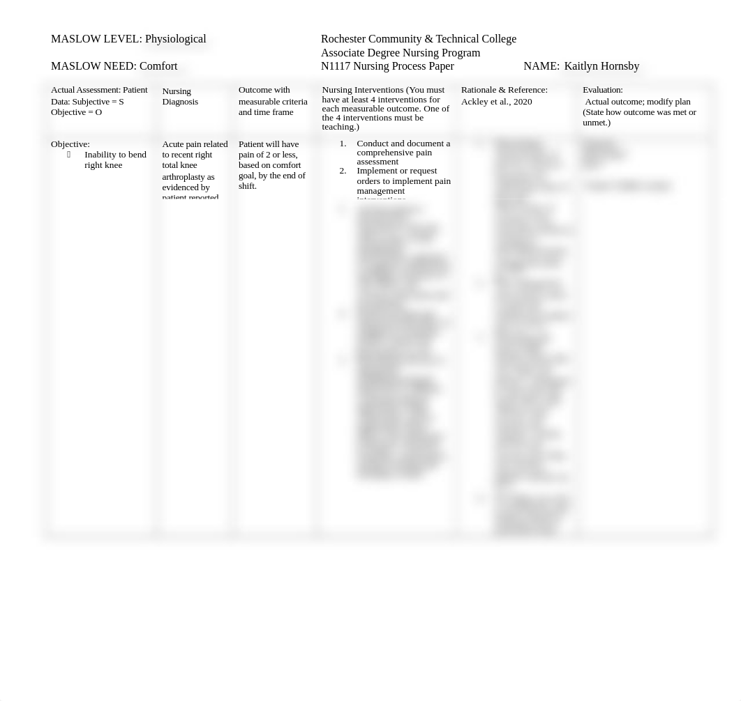 12.3 Nursing Process Paper KHornsby.docx_dunh6upbkj8_page1