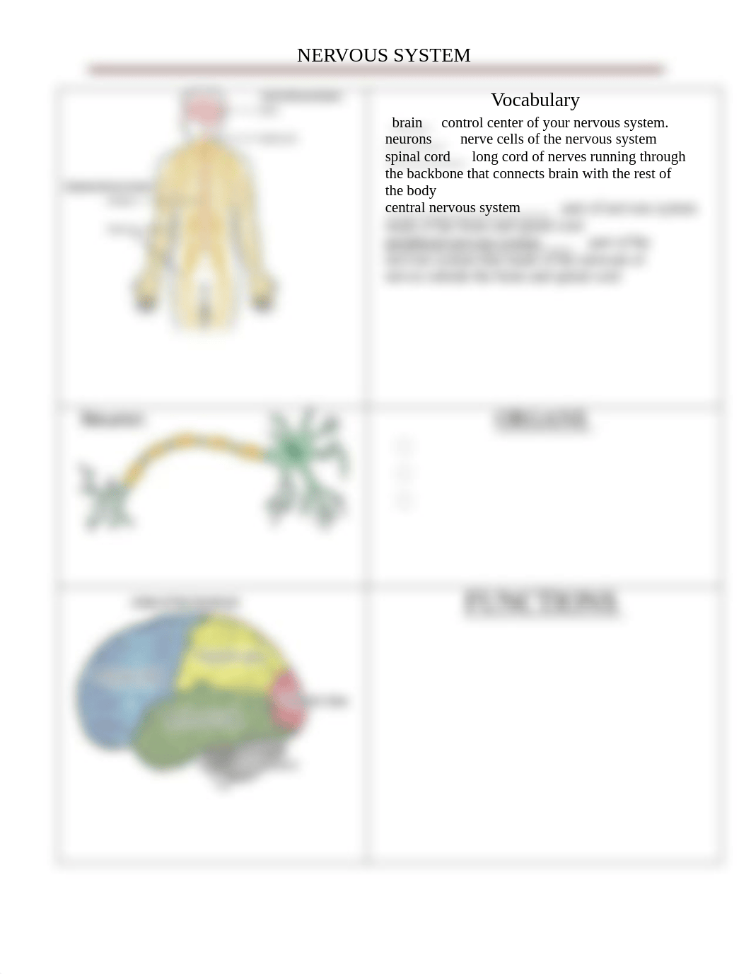 Nervous System cheat sheet.pdf_dunhpz5zbso_page1