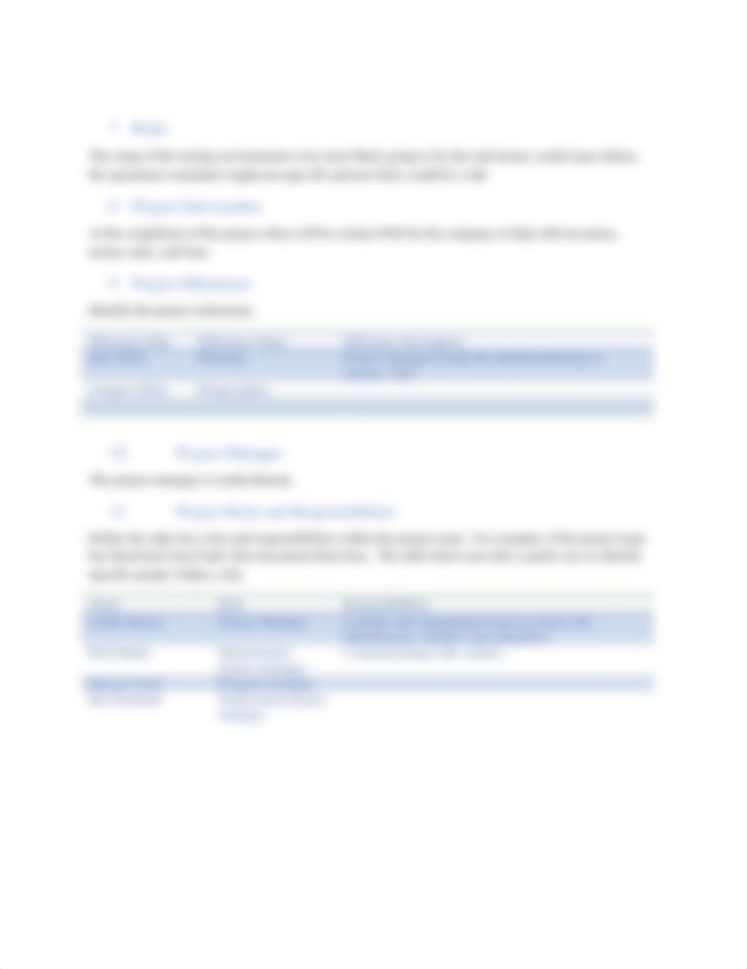 Project Charter Template.docx_dunl24dlrps_page4