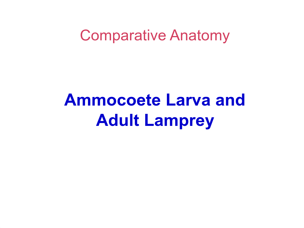 Ammocoete Larva and Adult Lamprey_dunmoxaxgox_page1