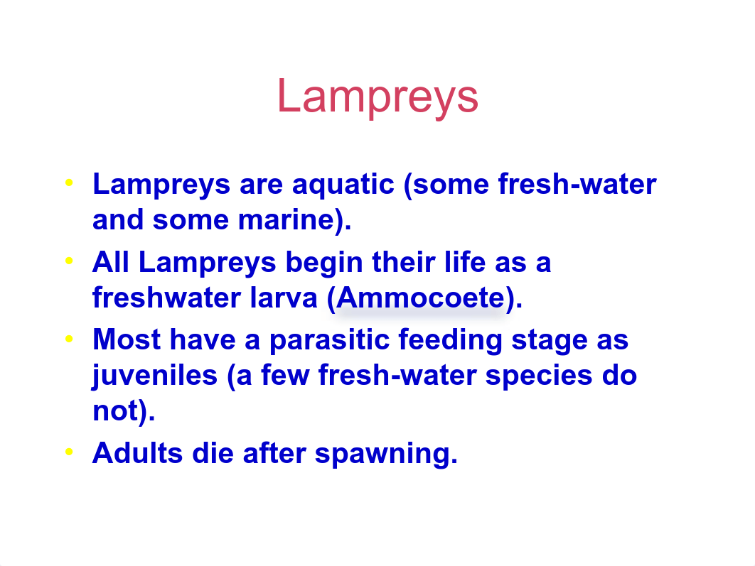 Ammocoete Larva and Adult Lamprey_dunmoxaxgox_page2