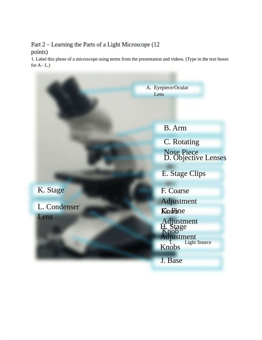 Lab 3- Virtual Microscope Worksheet.docx_dunonidk80m_page2