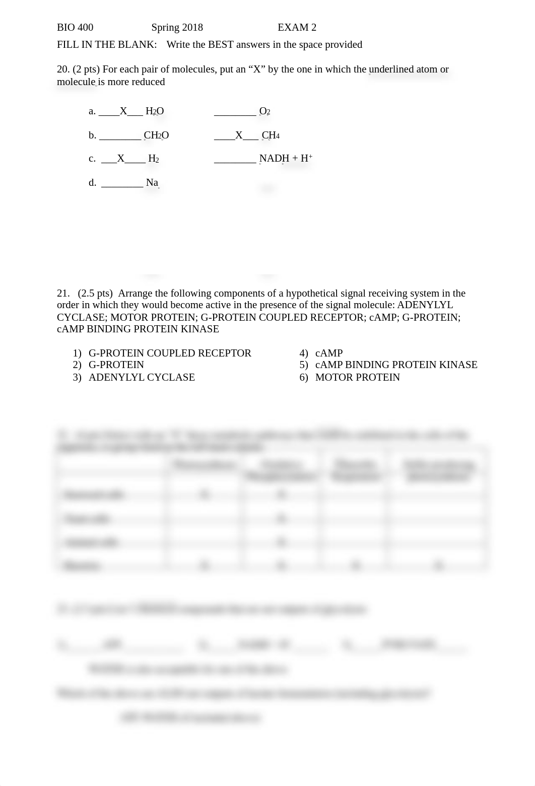 Bio 400 Practice Exam 2 S 18.FLC ANSWER KEY.pdf_duo7i7it6v2_page2