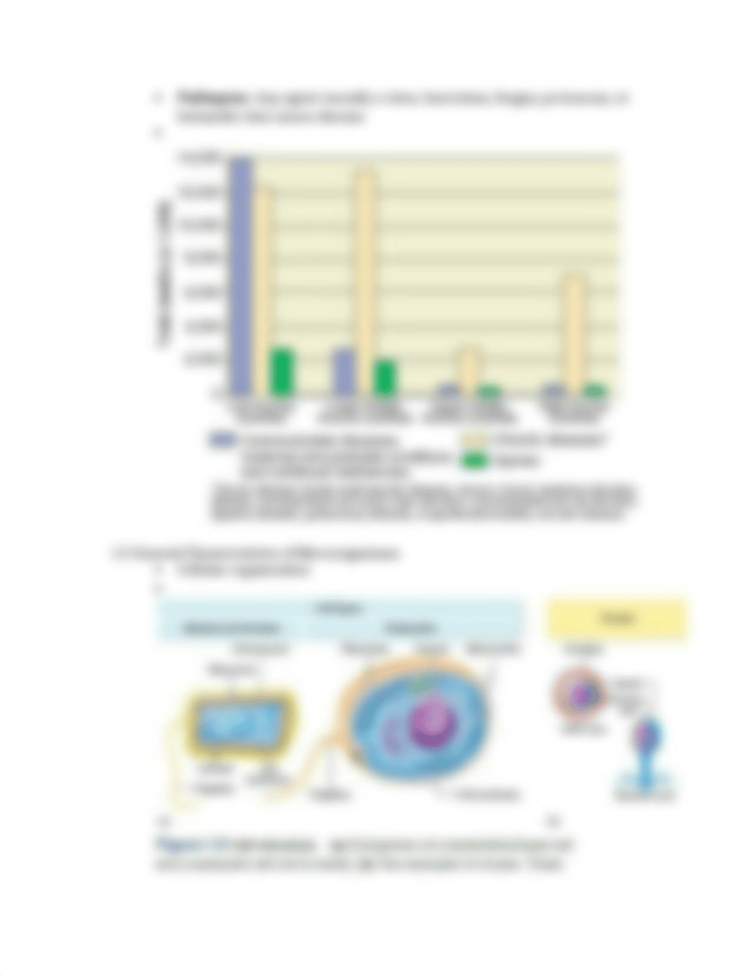 Chapter 1 Notes.docx_duok81vbrrg_page2