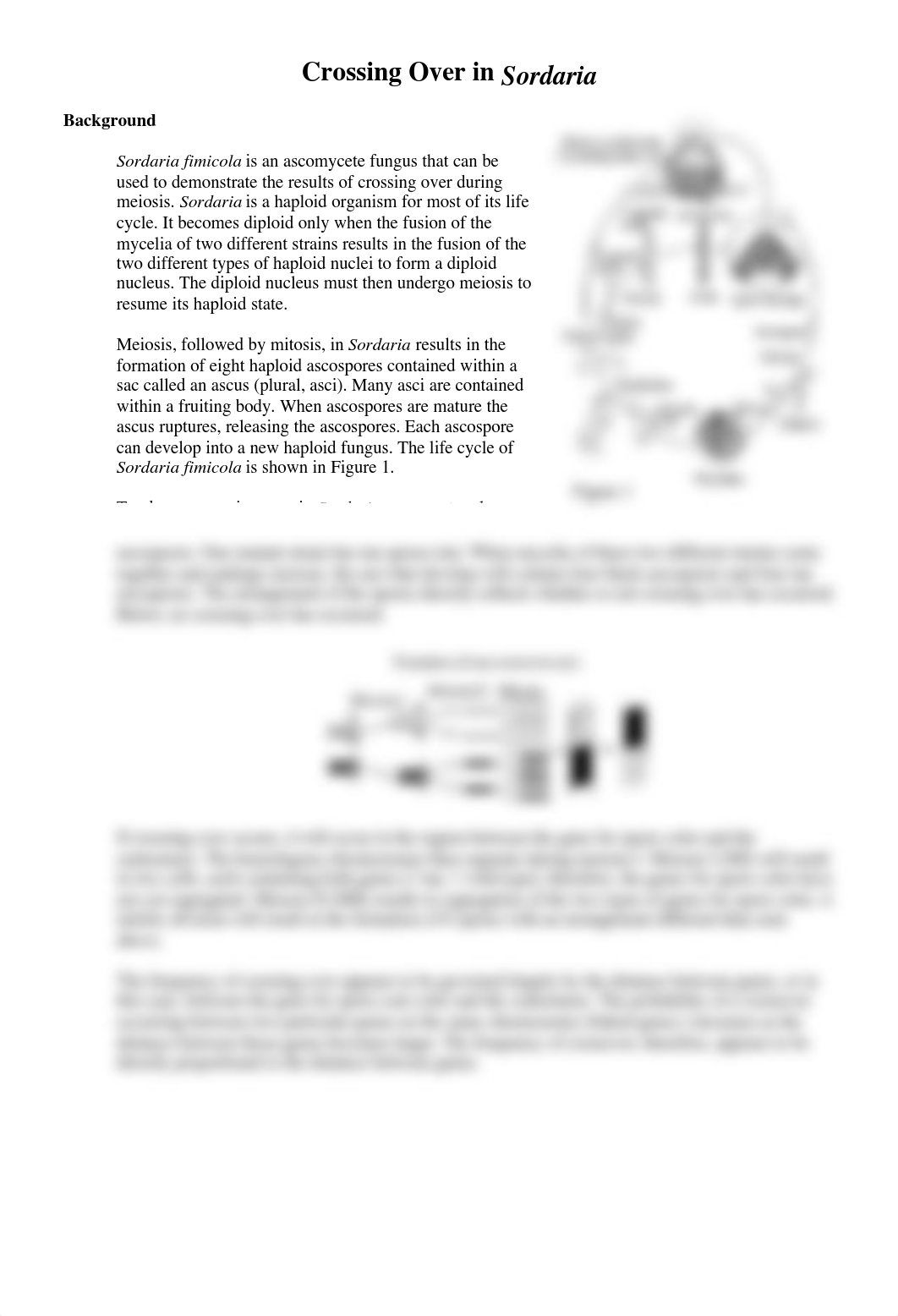 Sordaria_Lab_duouiaxqeer_page1