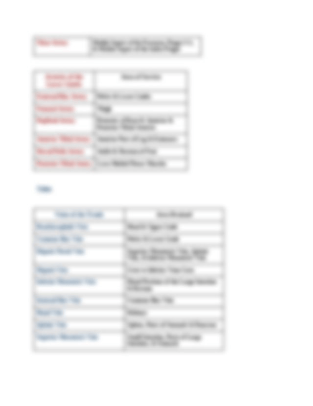 Blood Vessels Lab_duouqp22kww_page3