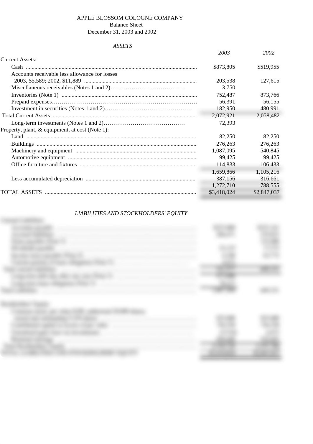 12M IM 2003 Balance Sheet - Prn_duoz9guvwzy_page1