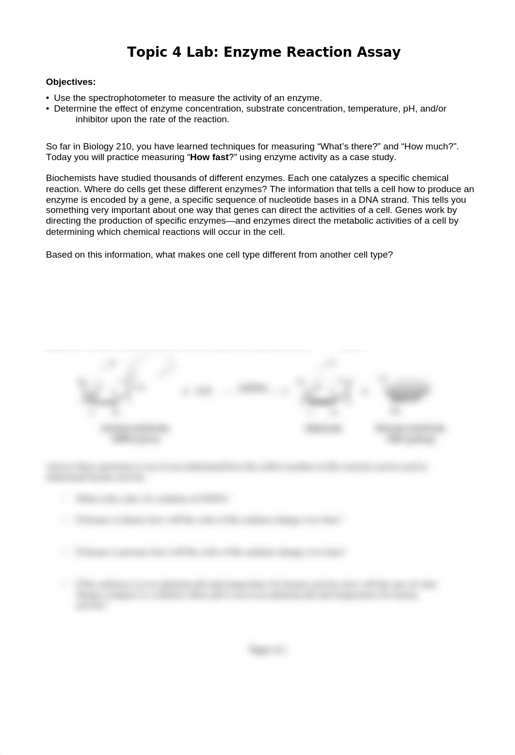 Topic 4 Lab Enzyme Reaction Assay.docx_dup0t4ac40j_page1