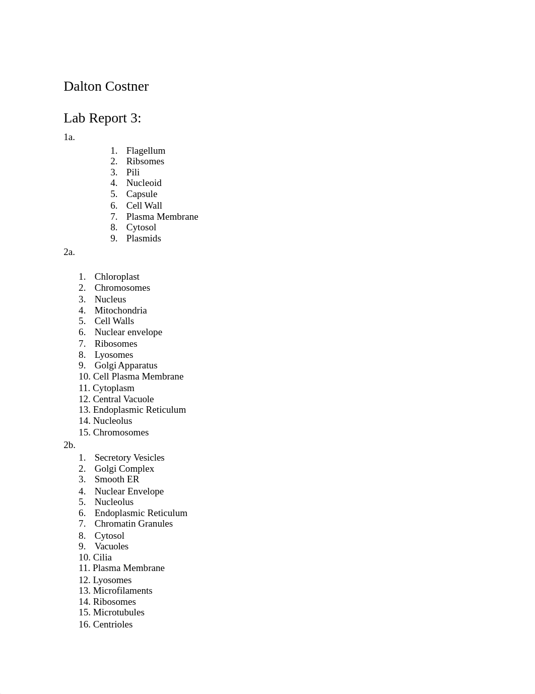 Lab Report 3.docx_dup0y8clfwk_page1