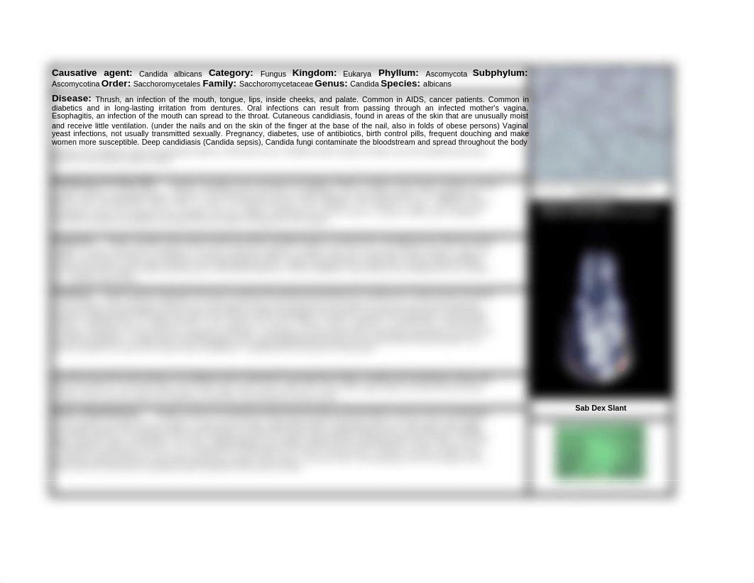 Pathogen Project Pathogens Candida albicans_dup20vkypd0_page1