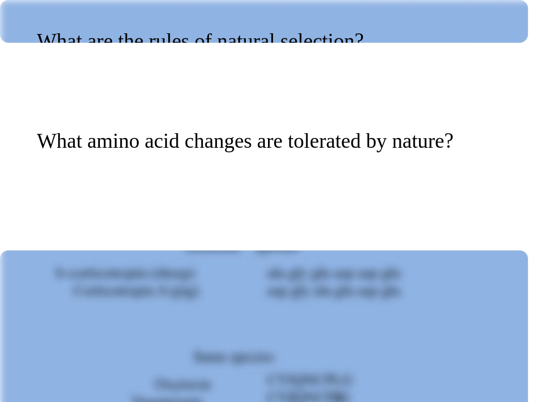 pairwise_alignment_dynamic_programming (1).pptx_dup30m48tq5_page2