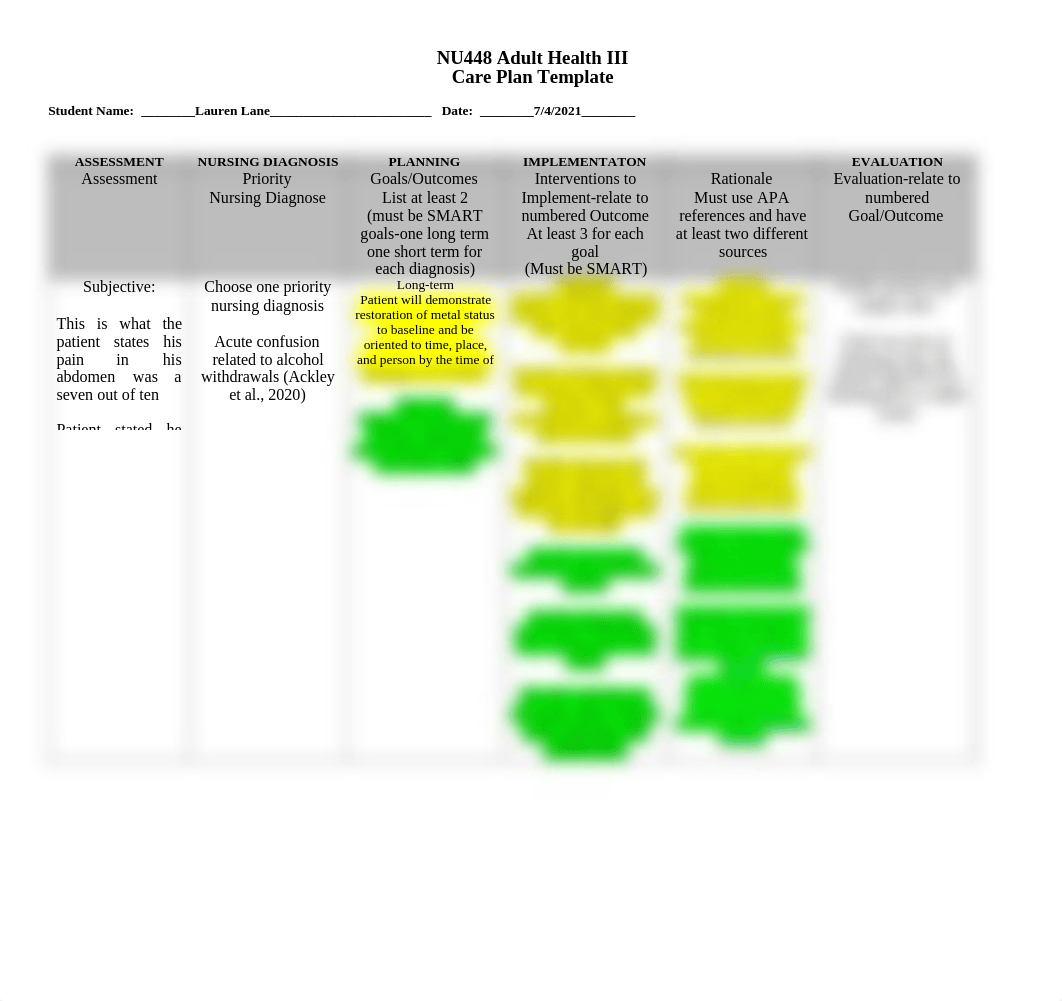 care plan template.pdf_dup68pyieni_page1