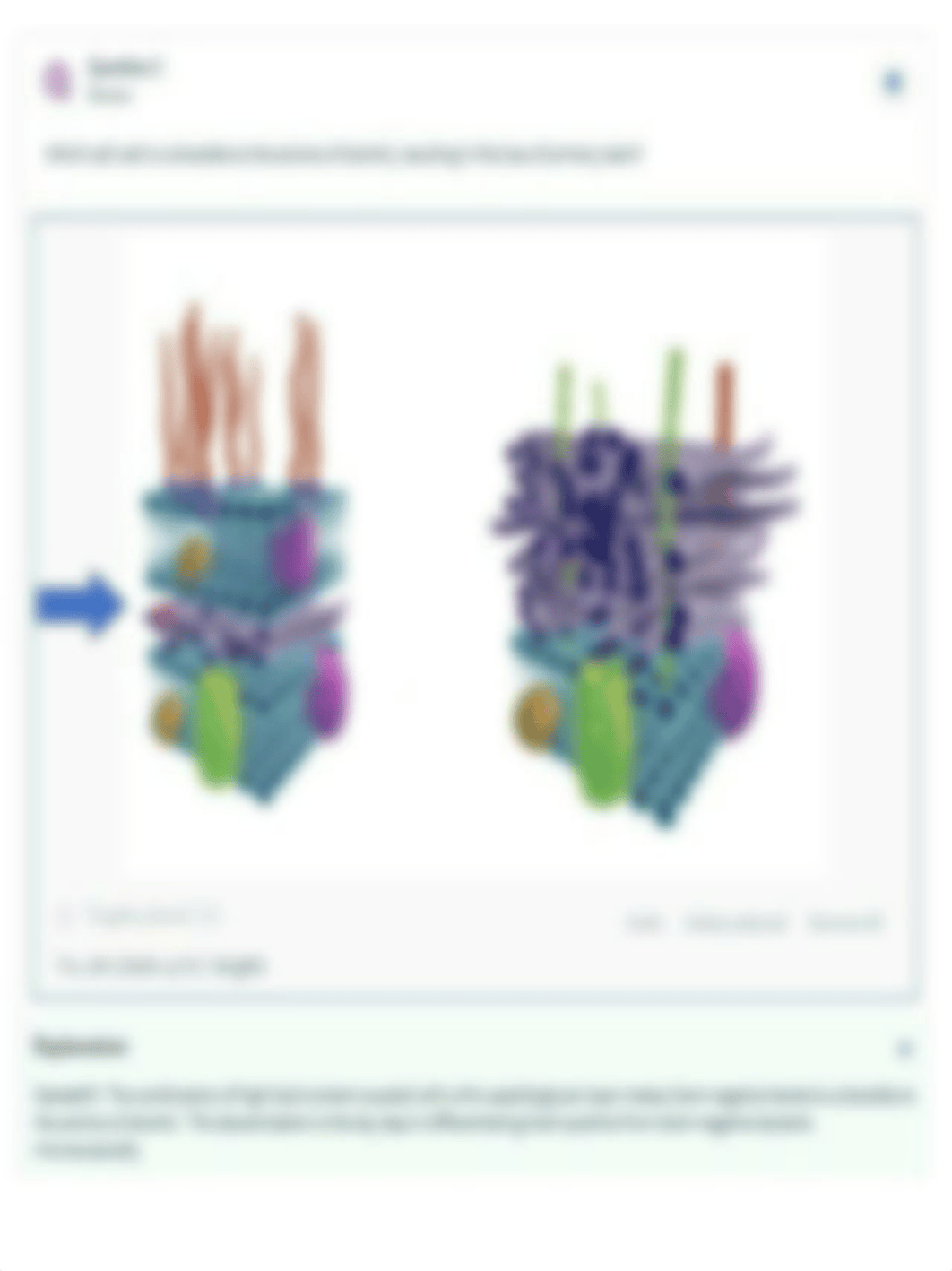 Exercise 3- Gram Stain - Post-Lab Assessment.pdf_dupawv5lofs_page2