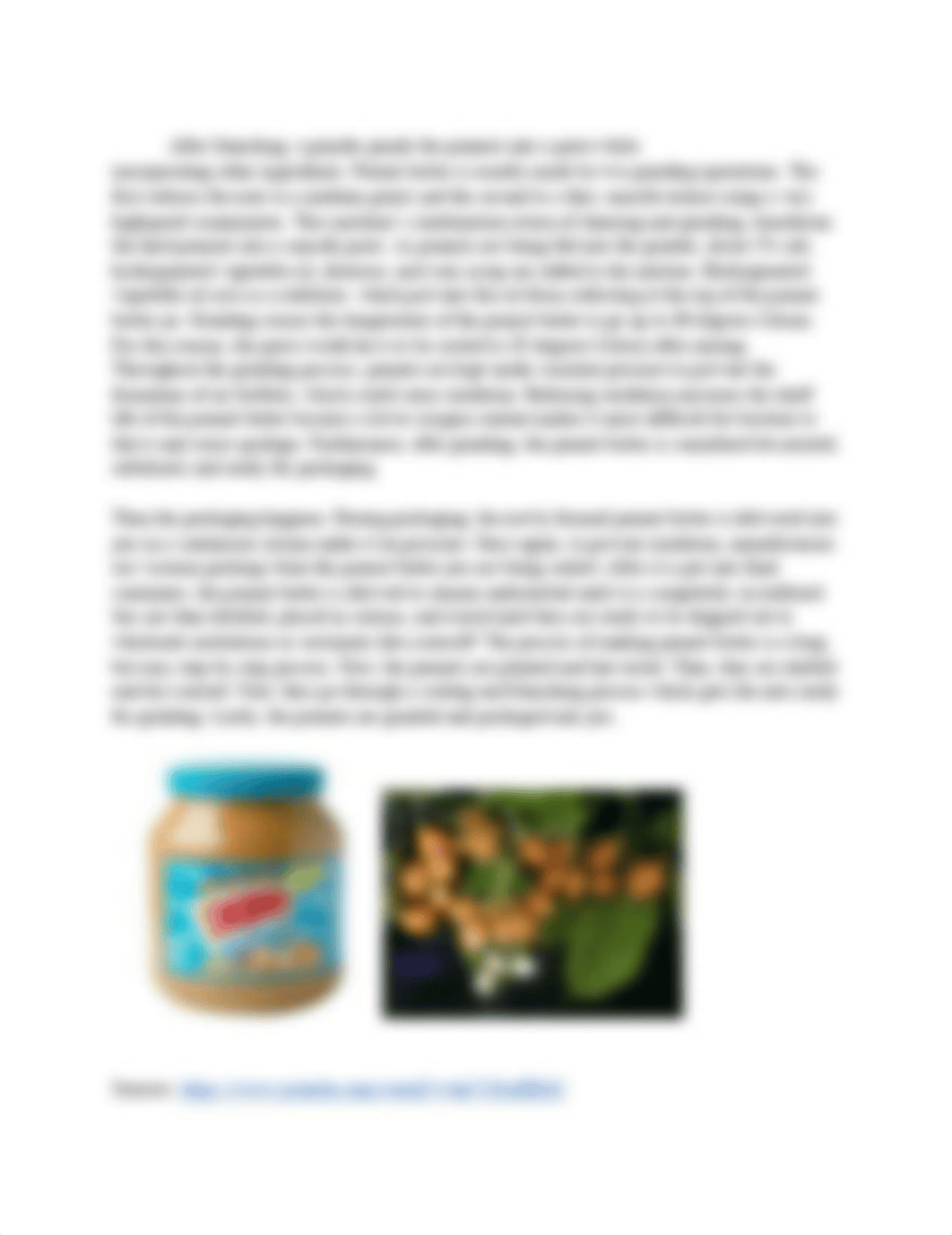 How_Peanut_Butter_is_made_(2)_(1).pdf_dupff8fkqec_page2