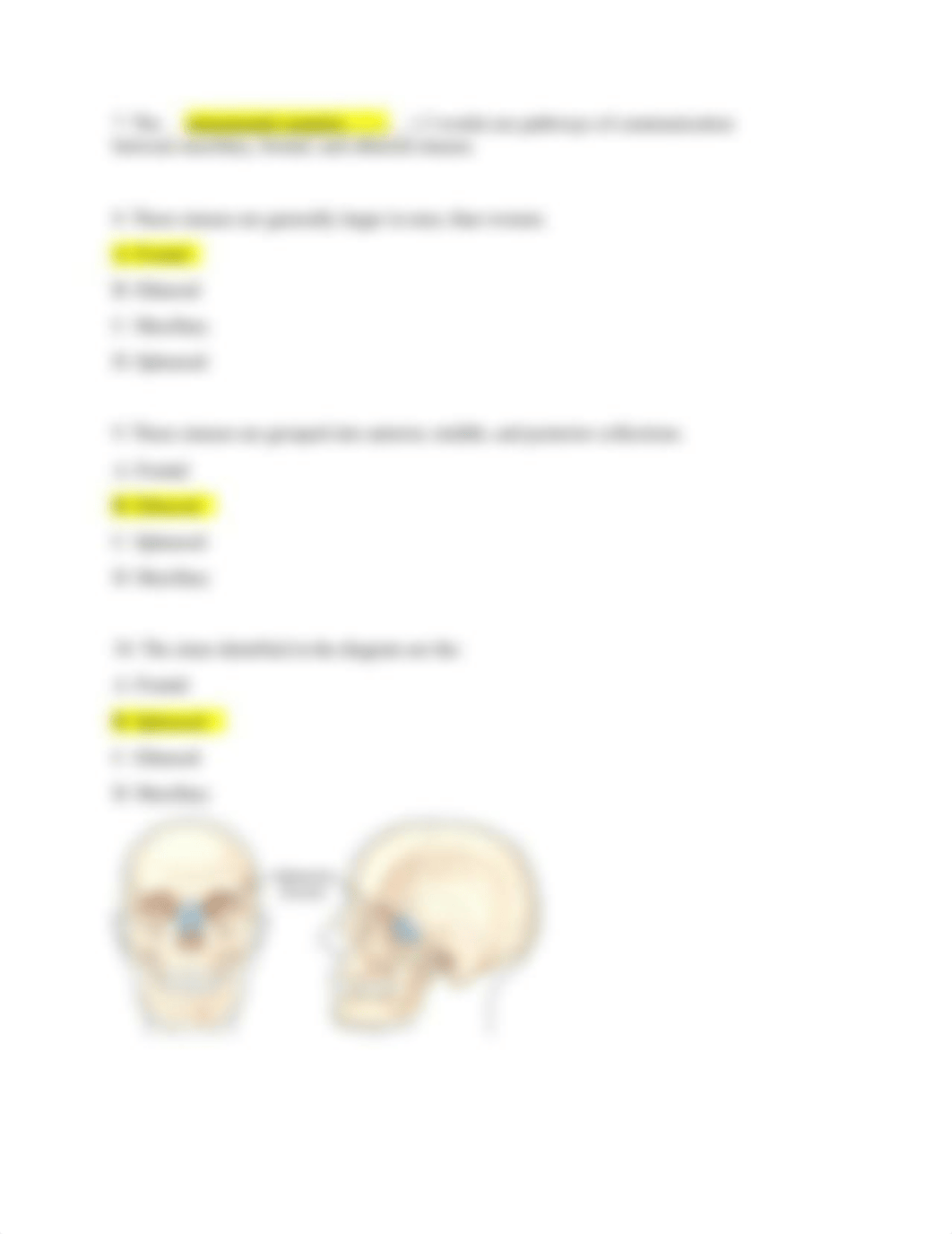 Quiz on zygomatic arches and sinuses (1).docx_dupj0k58pxg_page2