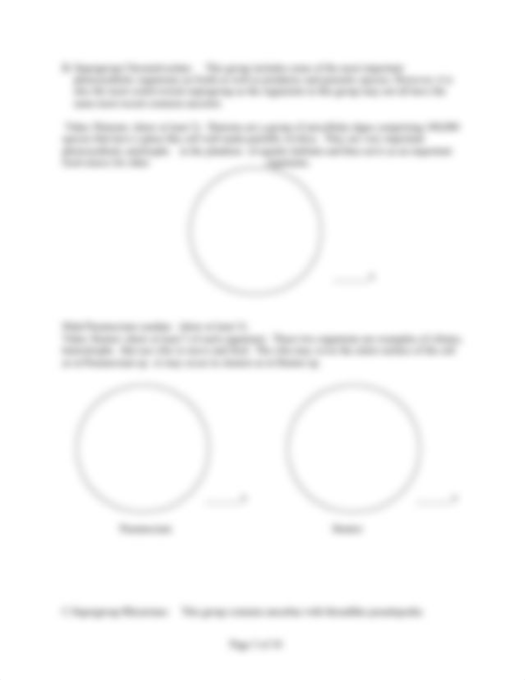 Lab 5-protists (2).doc_duplv83pdxv_page3