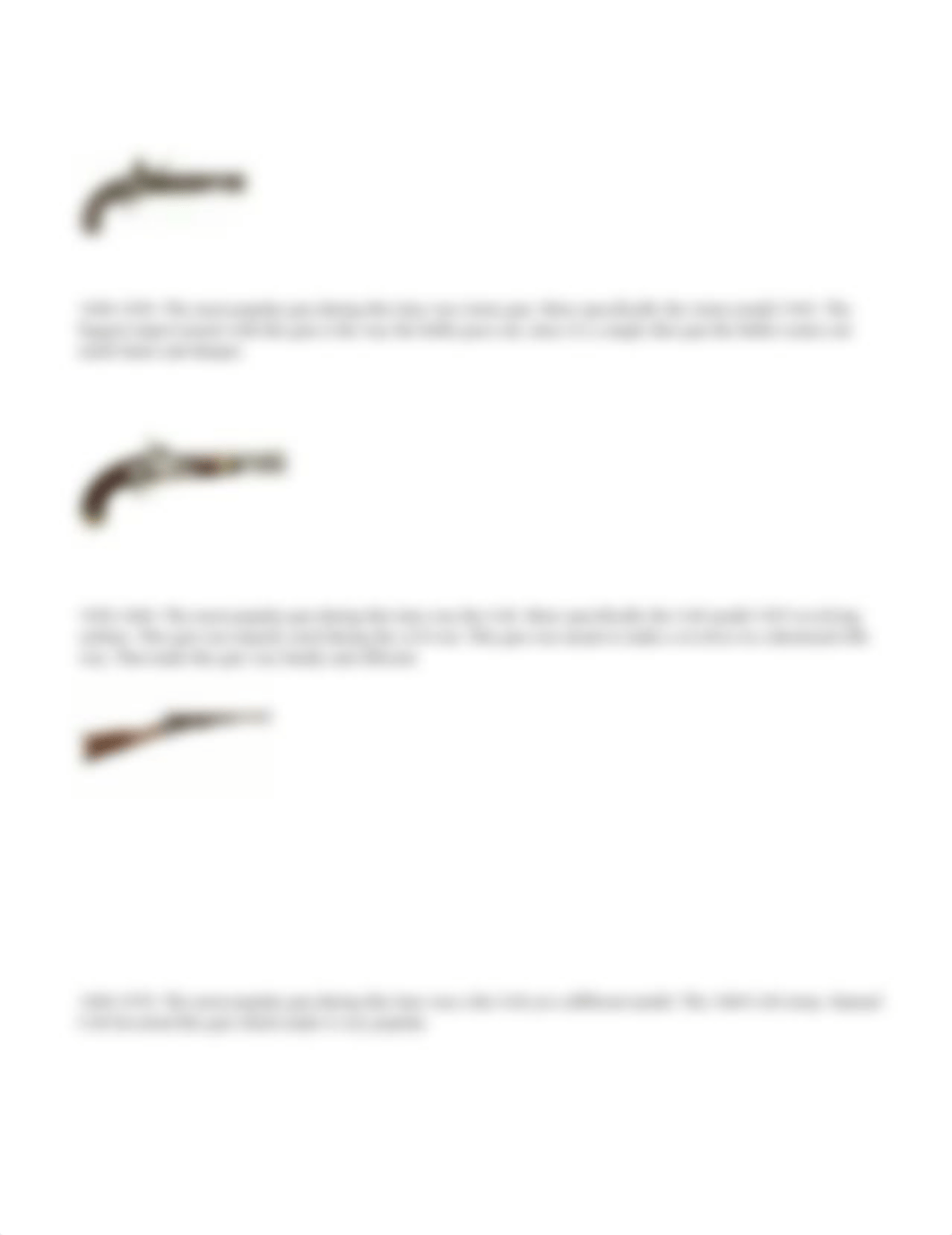 Gun_History_Assignment.docx_dupoos2abvc_page2