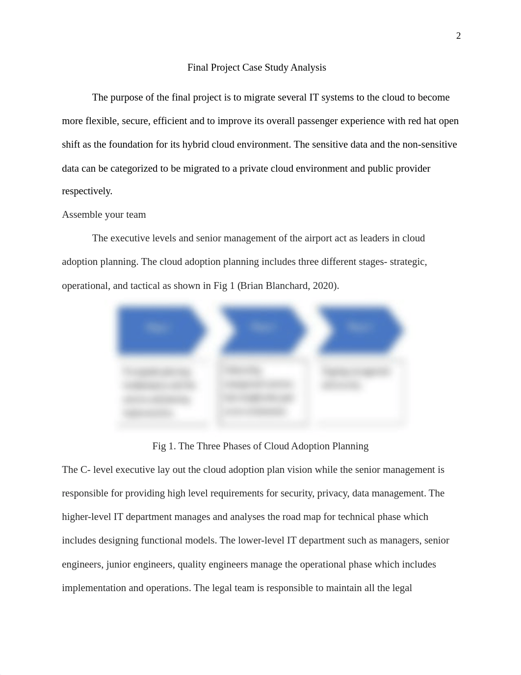 Week 8 Final Project Case Study.docx_duprc85pfj4_page2