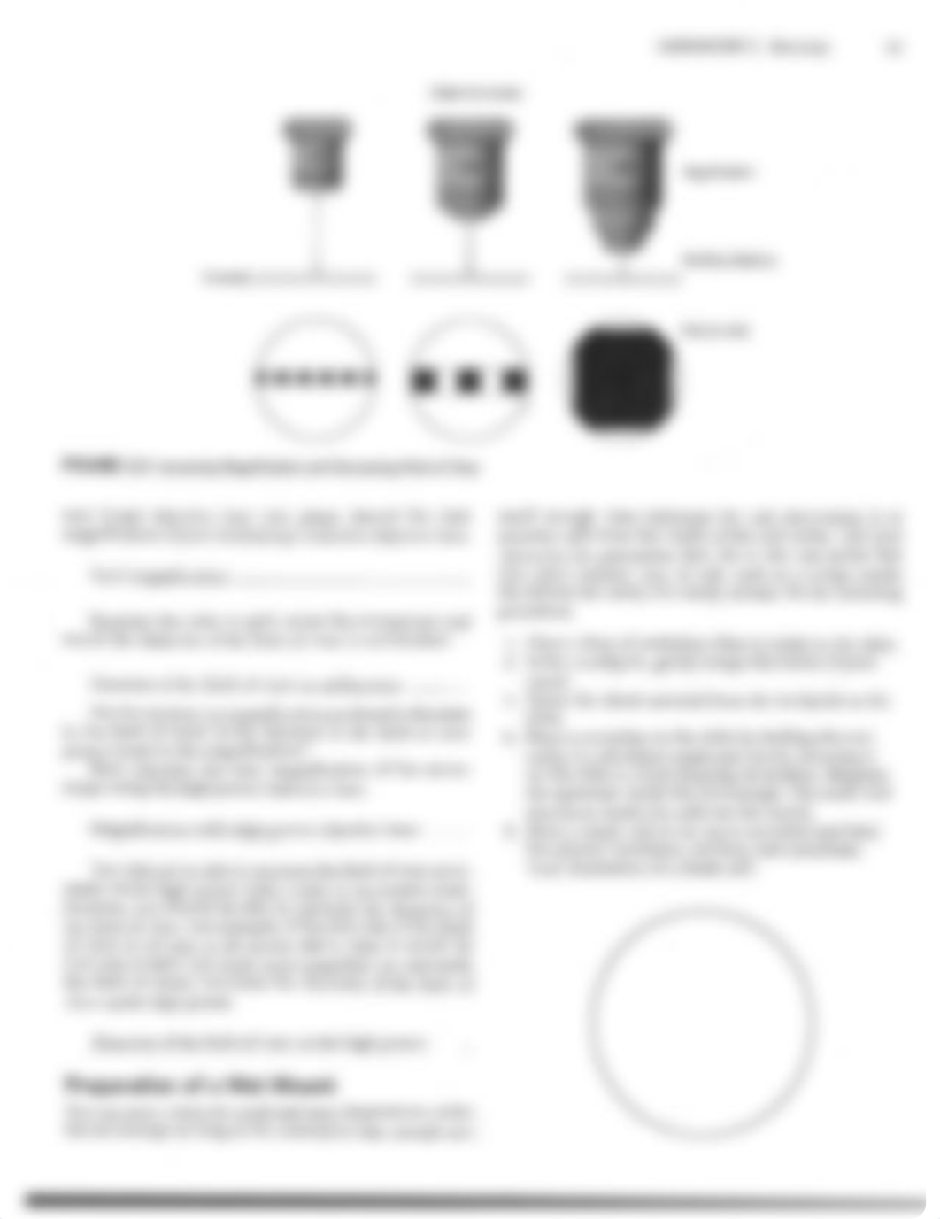 TCC Saladin Microscope Lab.pdf_dupxhwego7f_page5