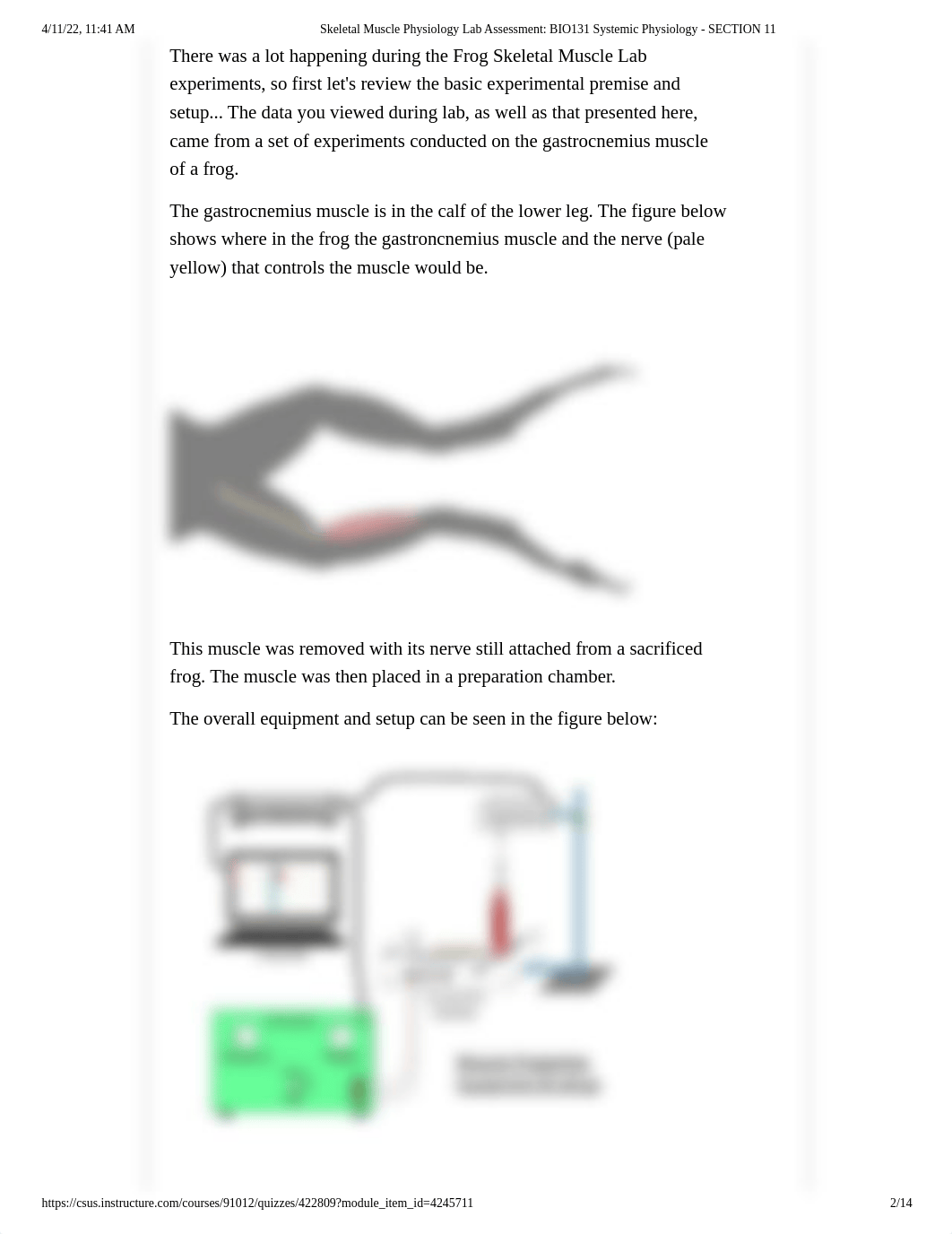 Skeletal Muscle Physiology Lab Assessment_ BIO131 Systemic Physiology - SECTION 11.pdf_dupzoryp04b_page2