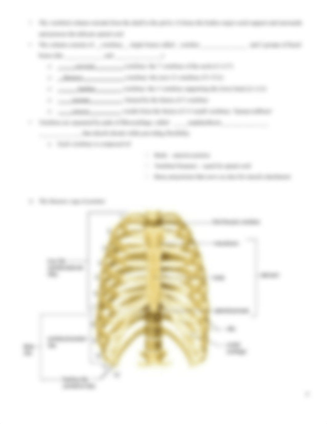 Skeletal Lab - student handouts(3).docx_duq1kjlvys1_page4