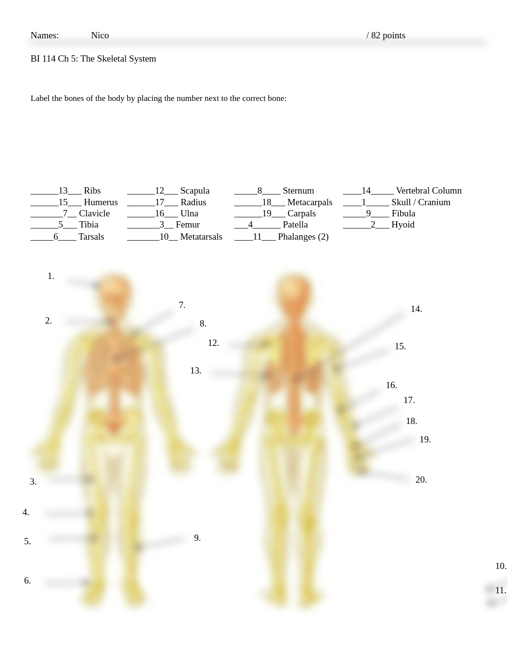 Skeletal Lab - student handouts(3).docx_duq1kjlvys1_page1