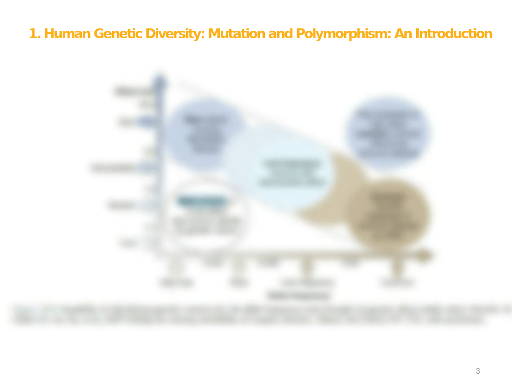 Human Genetic Diversity Mutation and Polymorphism.pptx_duq4qt2pr1i_page3