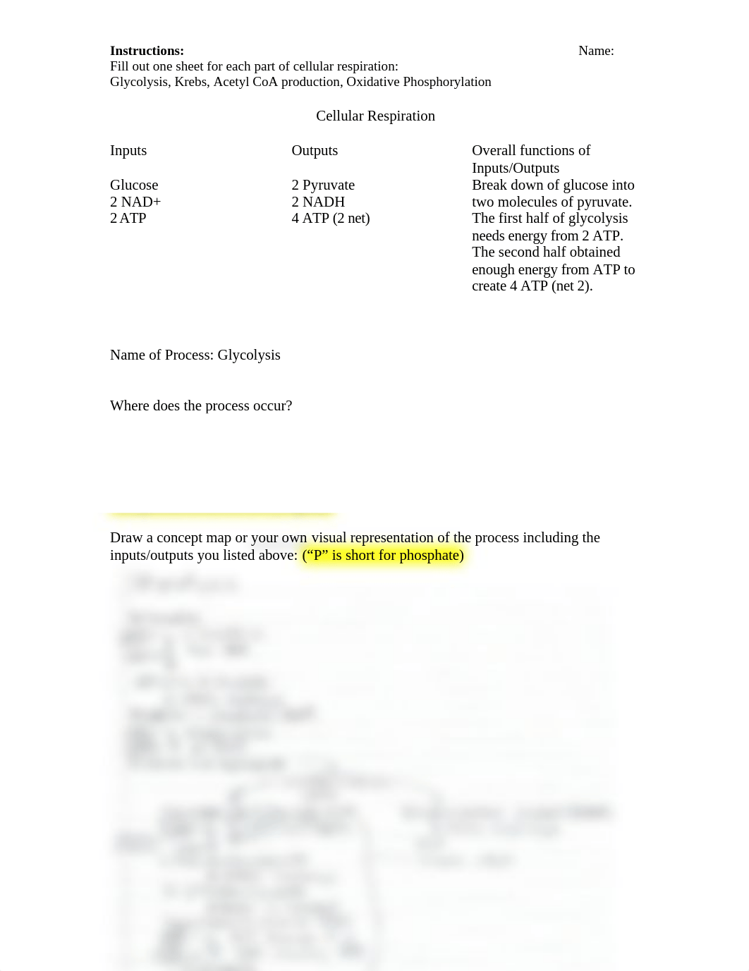 Cellular Respiration Process Assignment.doc_duq881ghn7x_page1