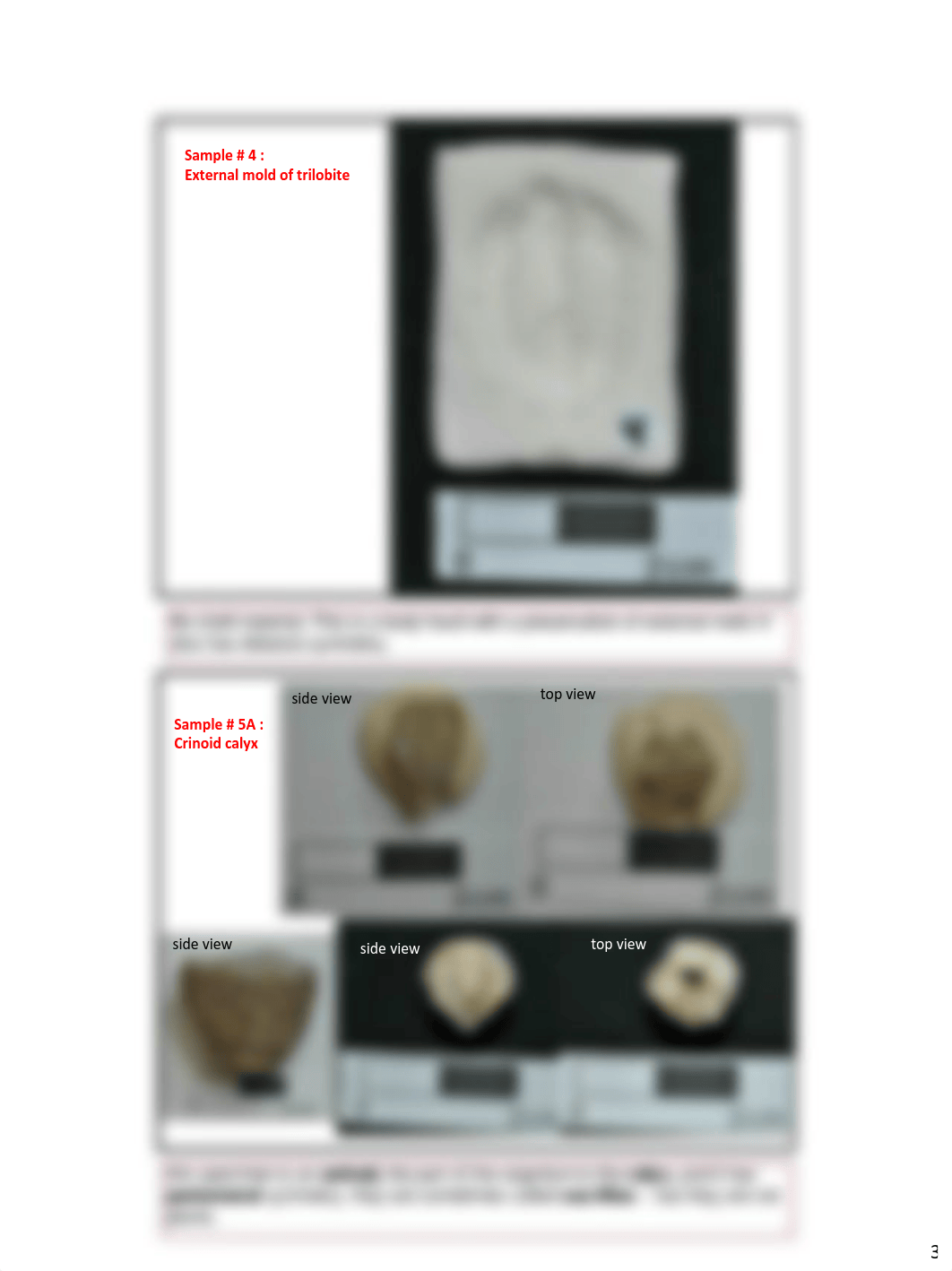 Lab Test #2 Study Guide.pdf_duqfig9jgbb_page3