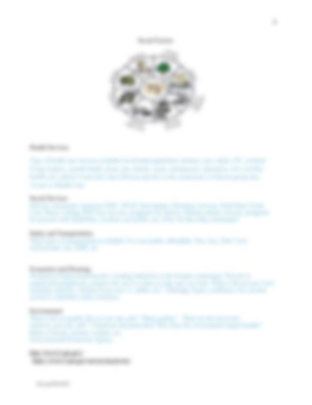 NUR4244LL Community Assessment Template.docx_duqgg8q0wvm_page4