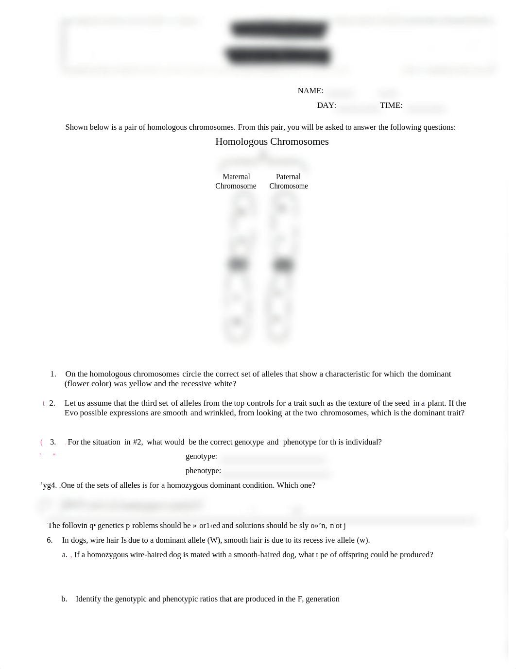 Genetics packet Lab 6 Report-converted.docx_duqjlzhz0zh_page1