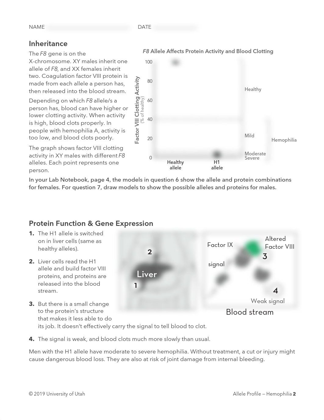 alleles_Hemophilia.pdf_duqnrvk5n48_page2