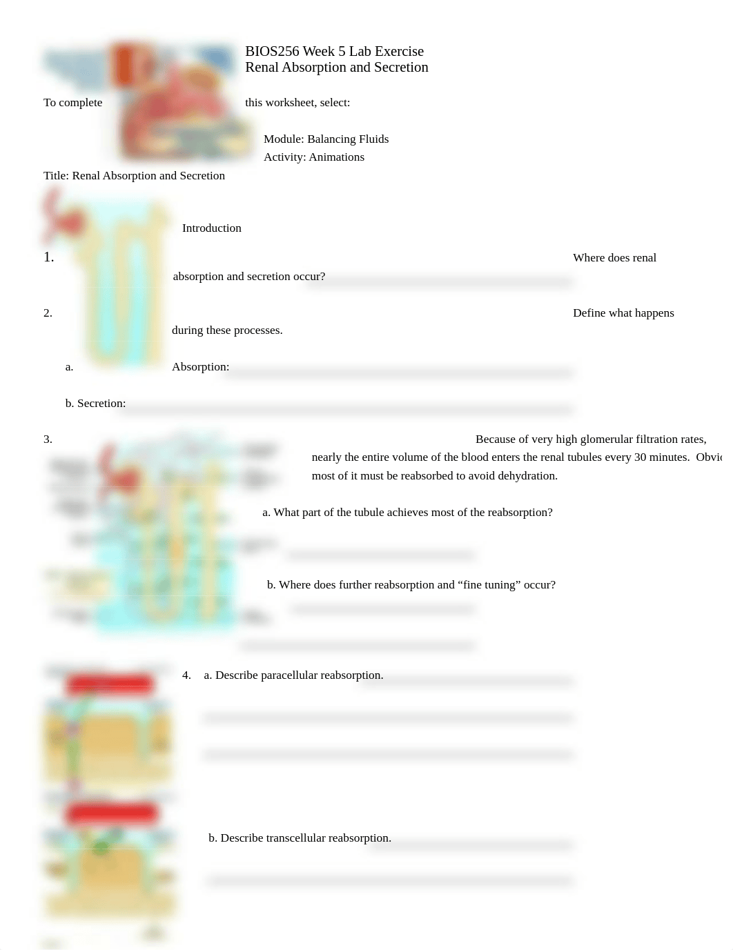 BIOS256_W5_Lab_Exercise_duqtdsewnfx_page1