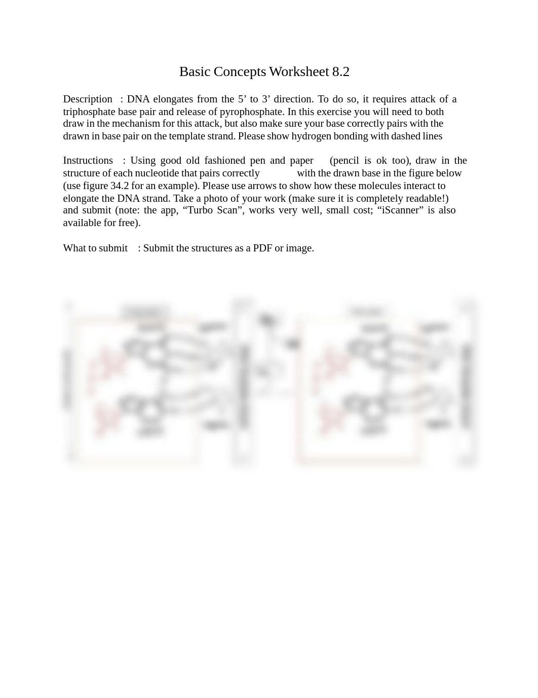 Basic Concept Worksheet 8.2.pdf_durbvv6ii5c_page1