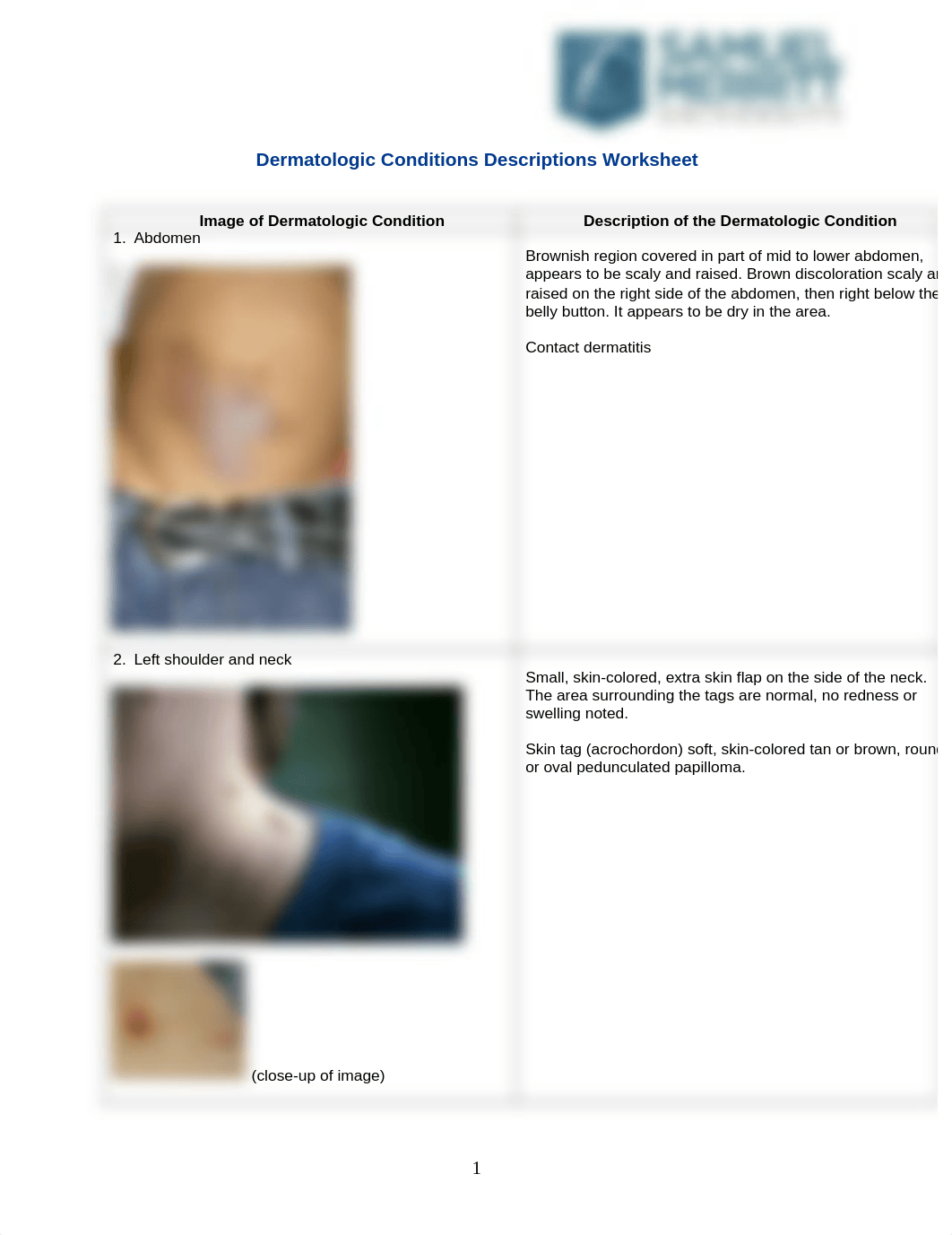 NUR671L-Dermatologic_Conditions_Descriptions_Worksheet.docx_durfwe2iwz4_page1