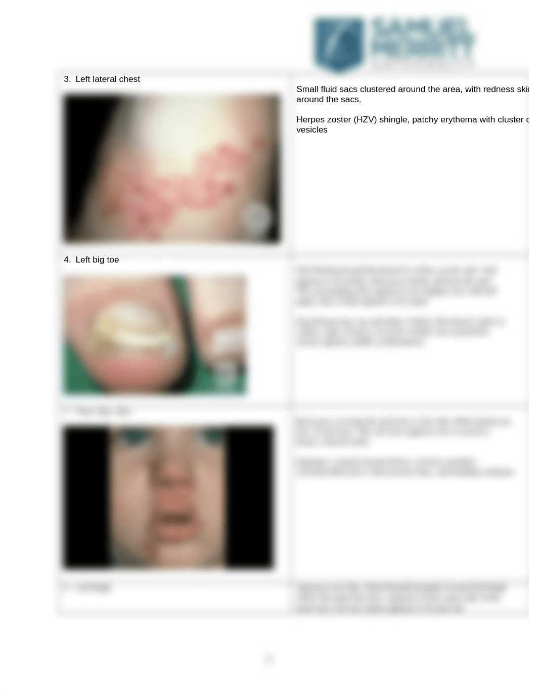 NUR671L-Dermatologic_Conditions_Descriptions_Worksheet.docx_durfwe2iwz4_page2