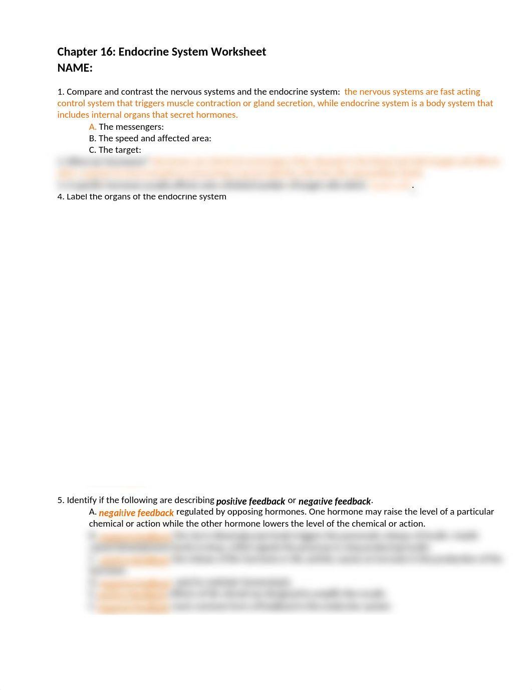 Ch16. Endocrine Worksheet (1).docx_durh2s8m1tp_page1