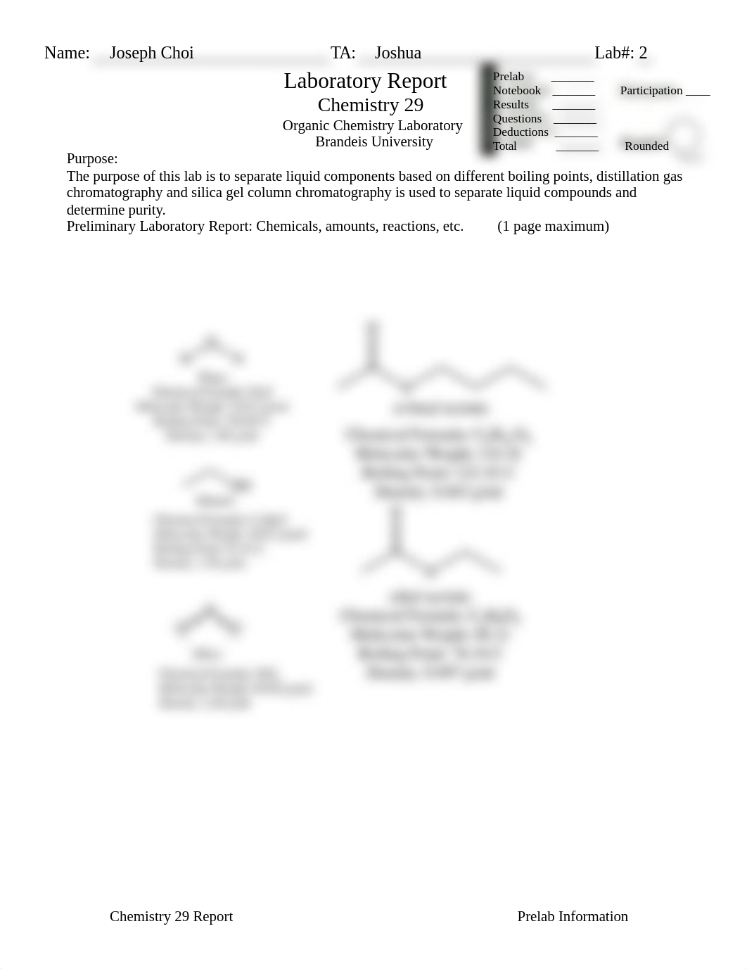 Orgo-Lab Report 2.docx_durr6xp9ri7_page1