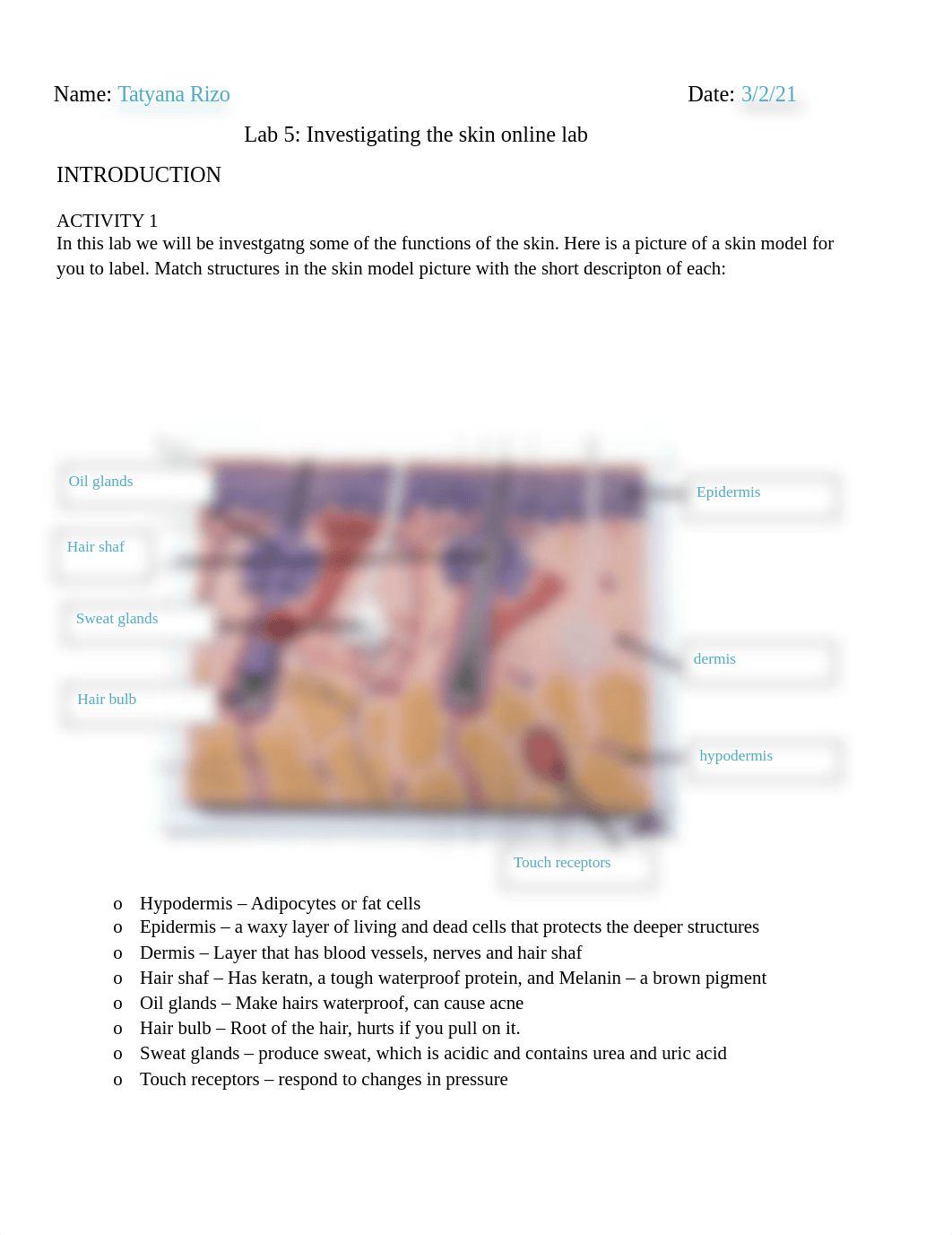 Lab 5. Investigating the Skin.docx_durwfavwd5g_page1