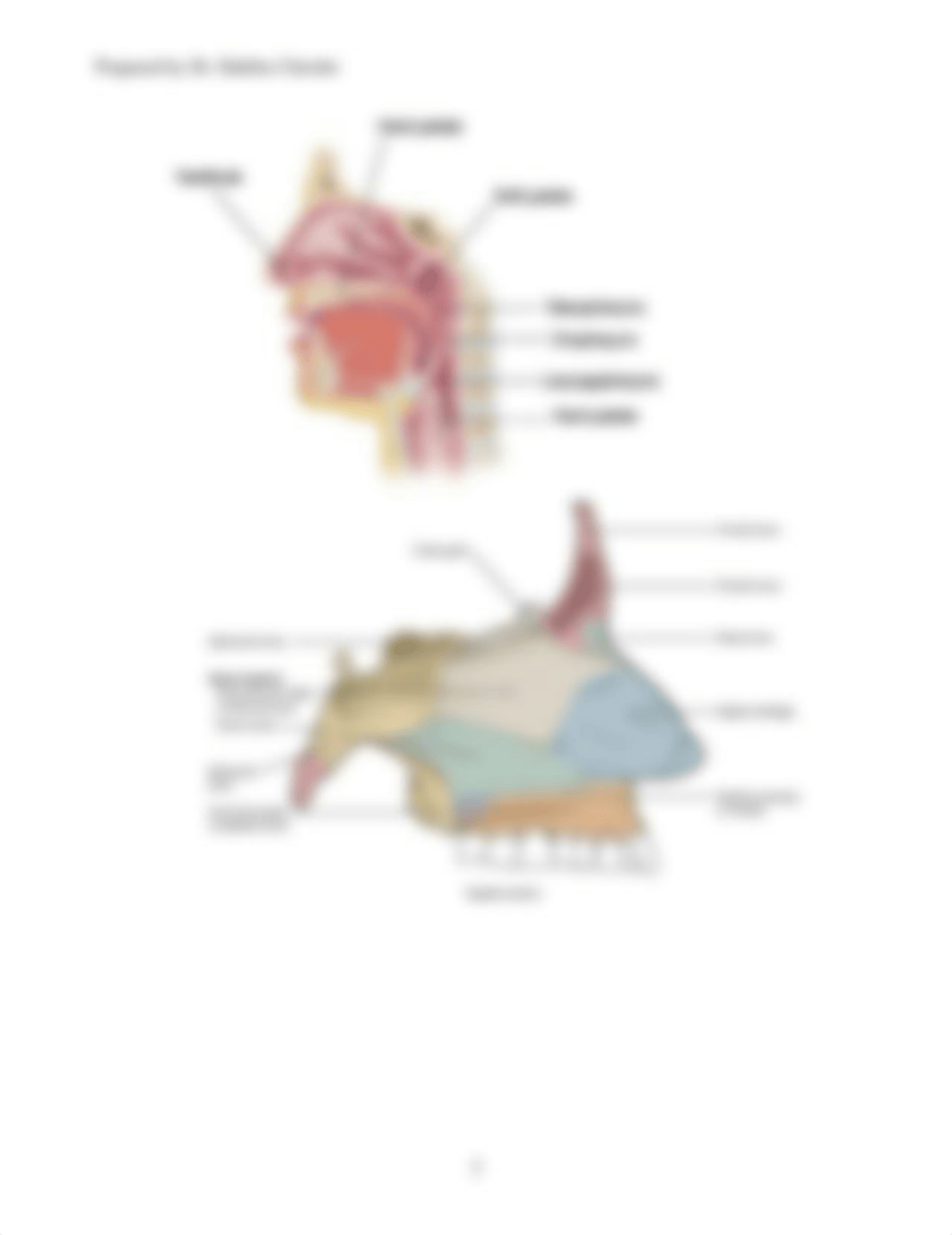 LAB 9 (1) copy.pdf_dus3dtbbvlu_page2