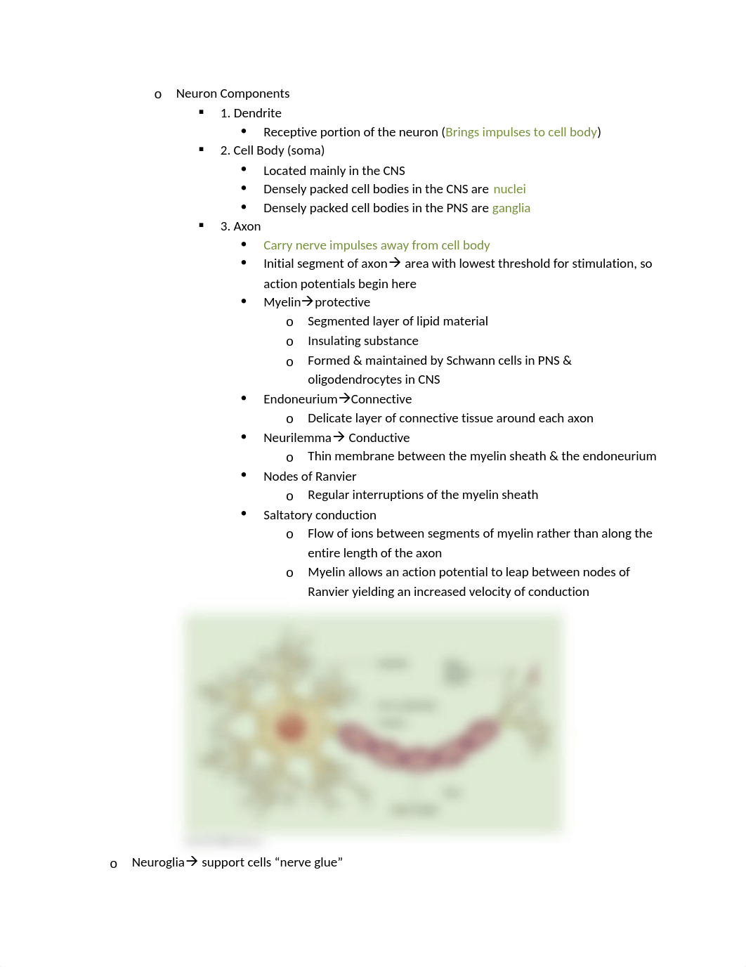 Neuro Learning Objectives.docx_dus3e1k0h6t_page2