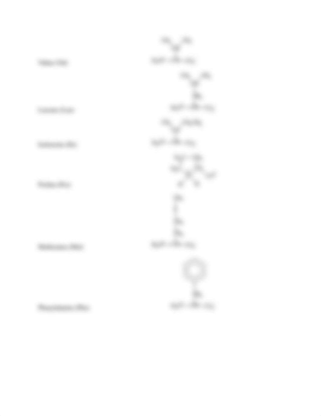 Amino Acids_dus570diu17_page2